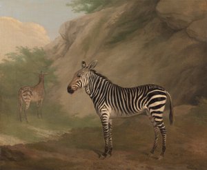 Zebra door Jacques Laurent Agasse
